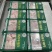 羊排肉