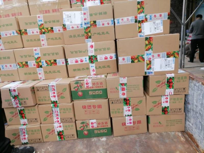 沾化冬枣新鲜上市，甜脆多汁，天然***，健康美味**！