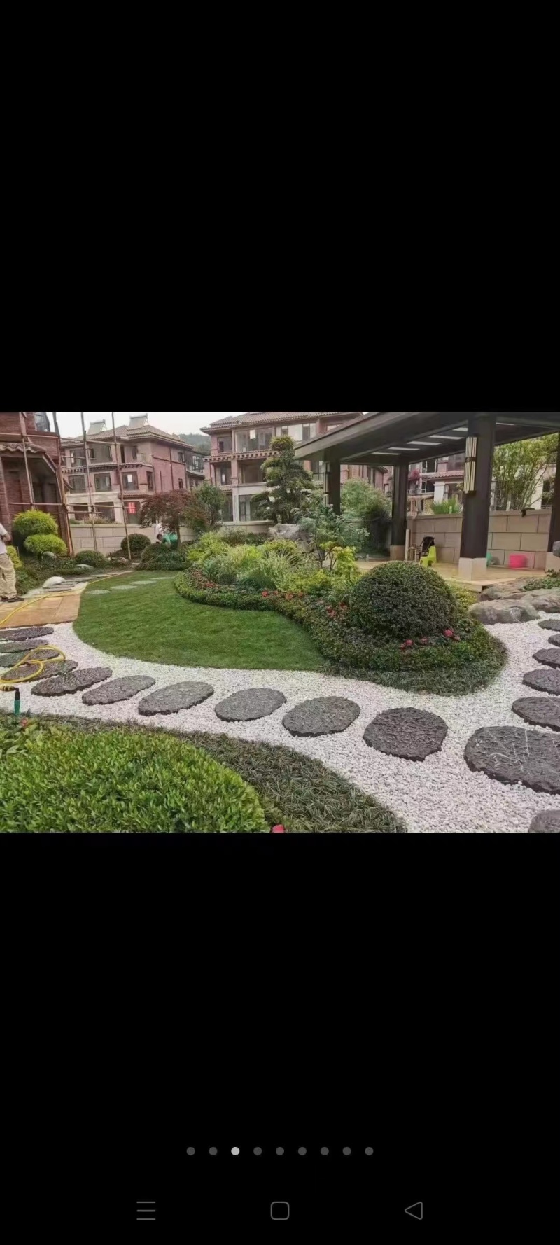 台湾二号，台湾青草坪马尼拉草坪，基地自产自销