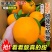一件代发爱媛果冻橙纽荷尔脐橙对接各大电商平台