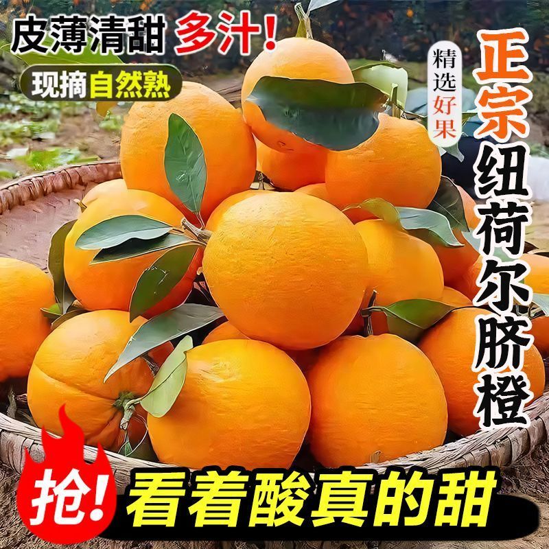 一件代发爱媛果冻橙纽荷尔脐橙对接各大电商平台