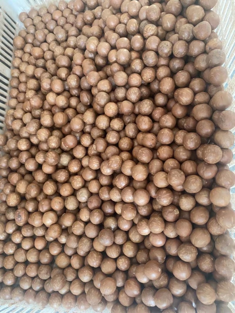 精品夏威夷果，已过X光机