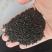 高质量柔毛淫羊藿种籽、种苗大量有售