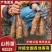 2025年山药苗白玉山药豆苗新鲜山药苗日本大和长芋山药苗