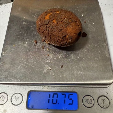 天然牛黄