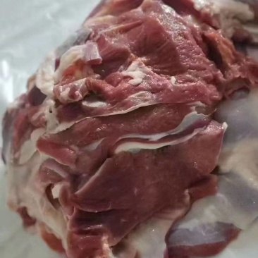 羊腿肉非常新鲜山东腾惠将成为更多客户的选择