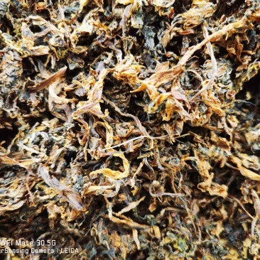 精品梅干菜～古法制作～洞庭湖芥菜～厂家直供