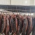 正宗重庆烟熏小块腊肉，源头工厂，厂家直发，支持一件代发