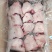 带皮拐骨（脚圈）又名小肘子。一件20-25个