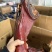 【腊肉】腊猪脚烟熏腊猪脚小开口农家烟熏腊猪脚