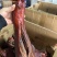 【腊肉】腊猪脚烟熏腊猪脚小开口农家烟熏腊猪脚