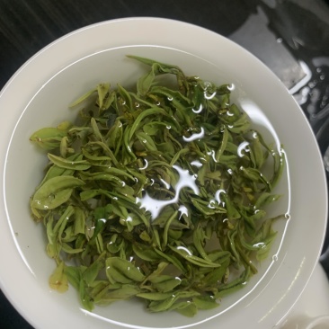 日照绿茶