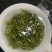 日照绿茶