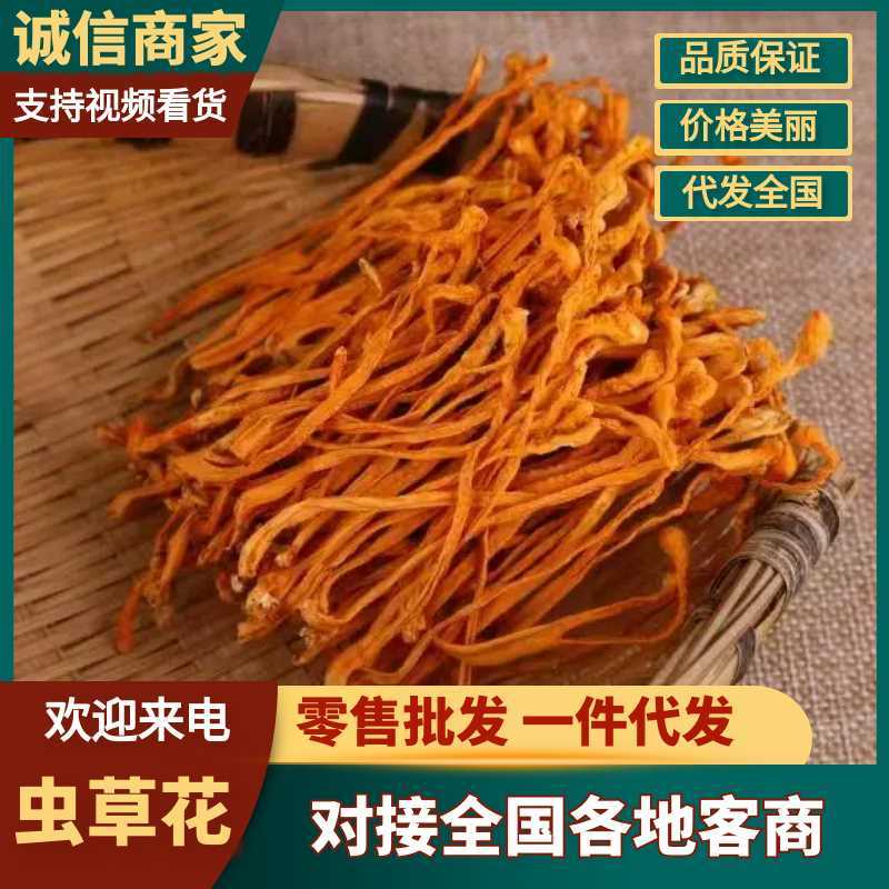 虫草货、内蒙虫草花产地直发，一件代发，全国发货
