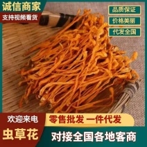 虫草货、内蒙虫草花产地直发，一件代发，全国发货