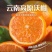 云南沃柑新鲜发货一件代发批发电商团购量大从优