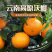 云南沃柑新鲜发货一件代发批发电商团购量大从优