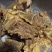 【熟牛肉】满肉牛脖骨头，熟的，开袋就卖