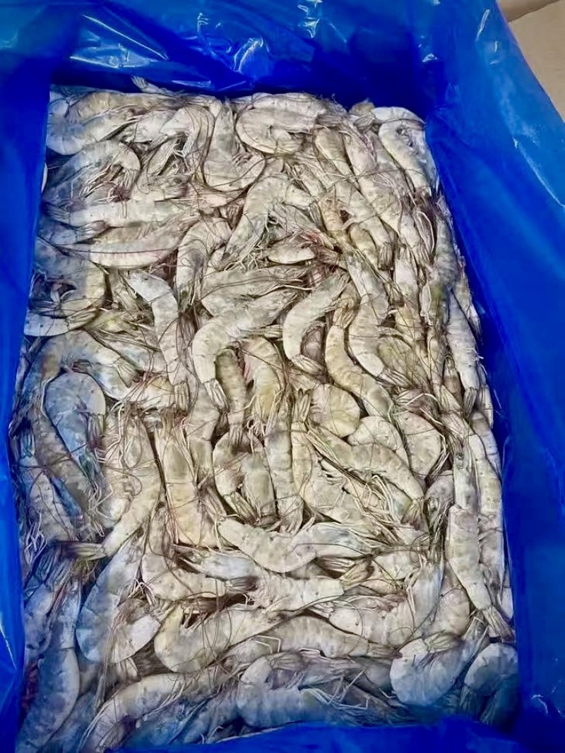 南美白对虾20-80规格有信欧玛莎卡玛盐水冻