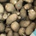 精品山东大毛芋头，大豆包芋头