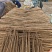 河南精品铁杆山药大通货、二路货、规格齐全，欢迎咨询