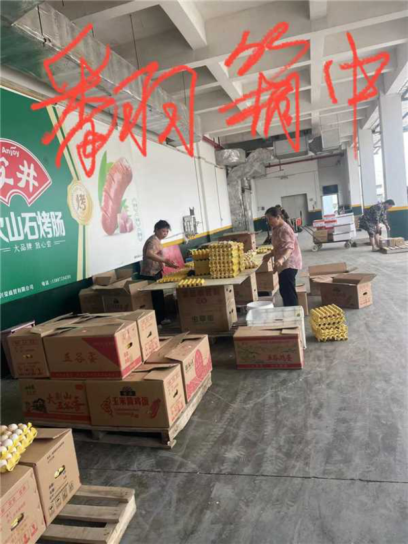 破壳鸡蛋一手货源可视频看货欢迎咨询