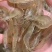 海水养殖鲜冻小白虾