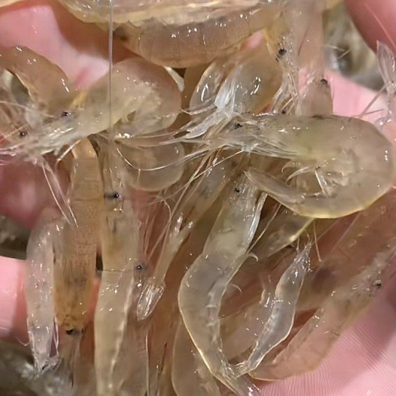 海水养殖鲜冻小白虾
