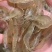 海水养殖鲜冻小白虾