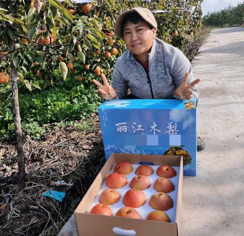 丽江精品雪木梨，一手货源，全国发货，可对接电商商超，诚信经营