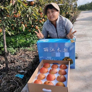 云南丽江雪木梨，自家果园，品质保证，价格便宜，欢迎来电