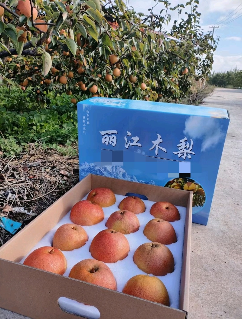 云南丽江雪木梨，自家果园，品质保证，价格便宜，欢迎来电