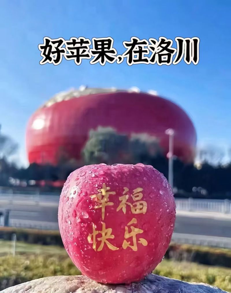 洛川红富士苹果