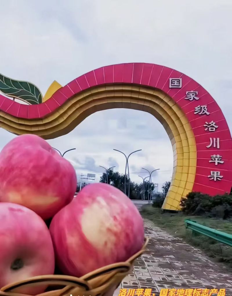 洛川红富士苹果