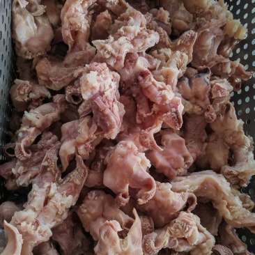 厂家大量加工熟牛蹄主筋对接饭店批发商卤肉店地摊贩