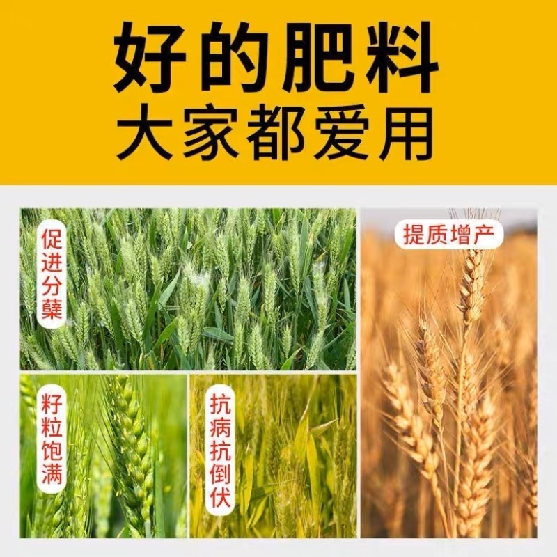 脉黄金叶面肥脉黄金喷施叶面肥