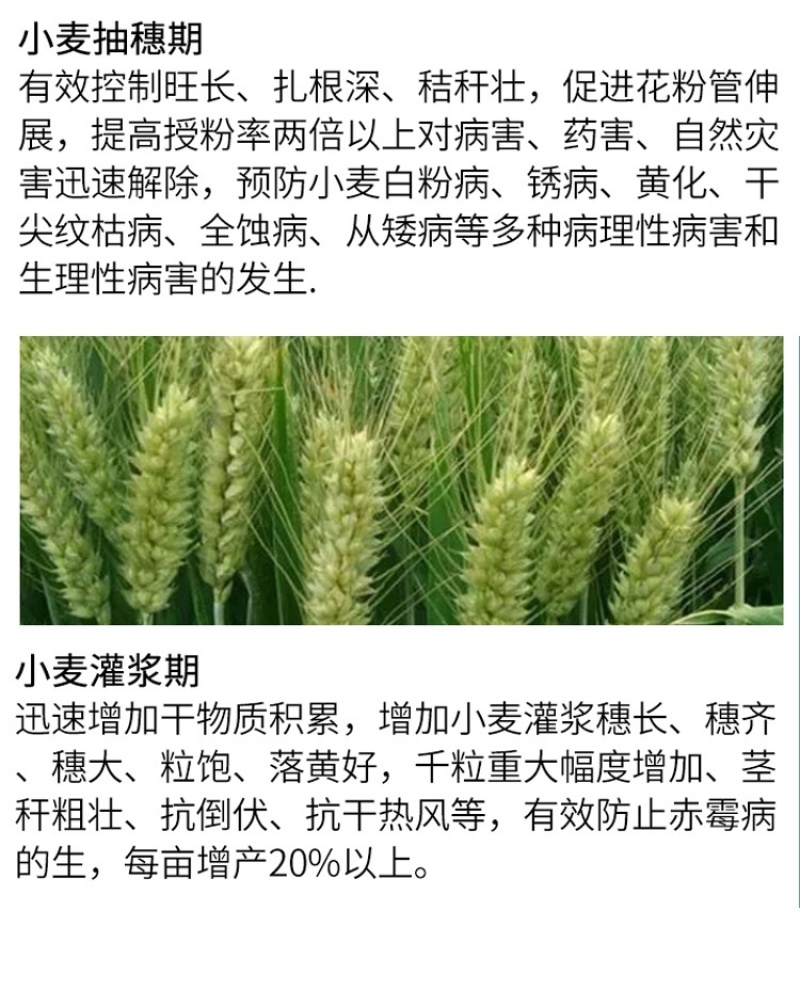 脉黄金叶面肥脉黄金喷施叶面肥