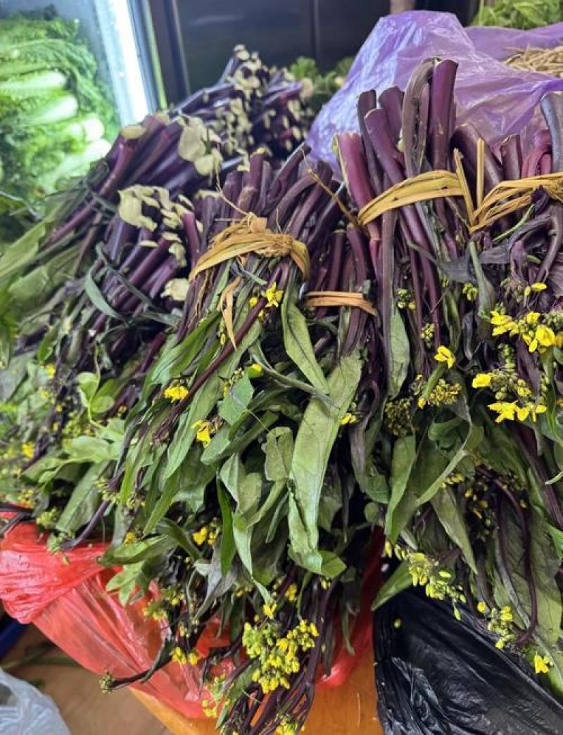 红菜苔