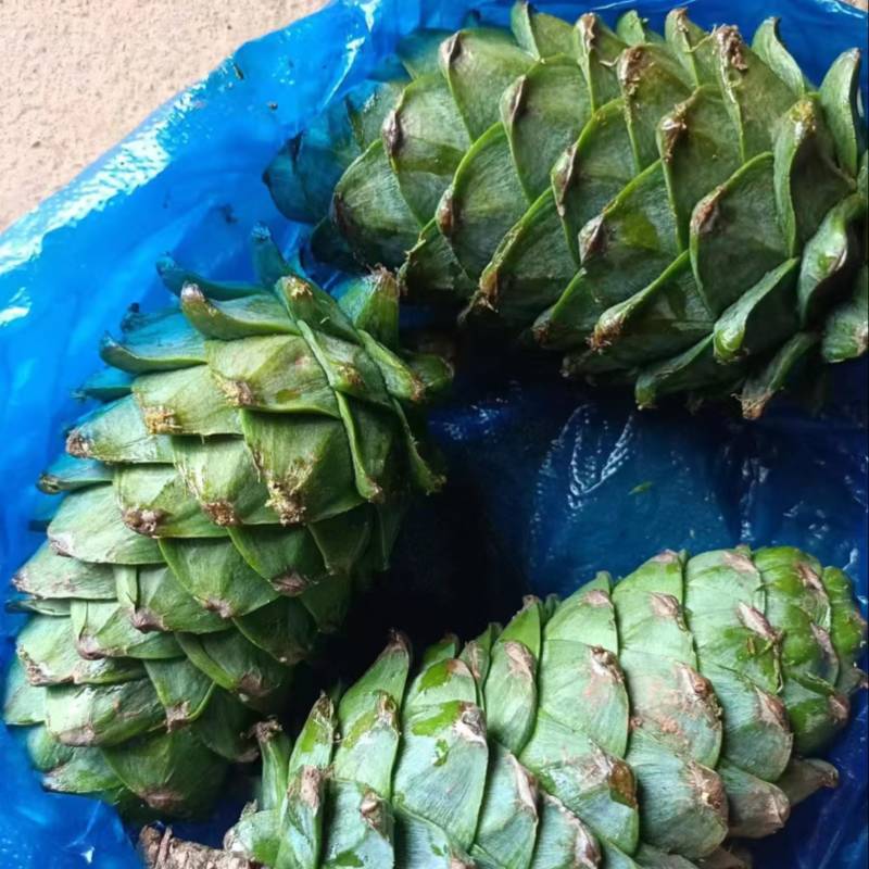 松包出售