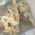 水发牛蹄筋副筋牛蹄筋牛杂火锅牛蹄筋