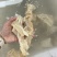 水发牛蹄筋副筋牛蹄筋牛杂火锅牛蹄筋