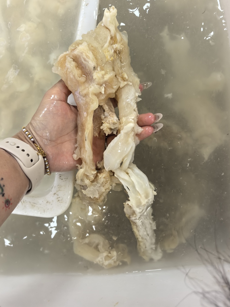 水发牛蹄筋副筋牛蹄筋牛杂火锅牛蹄筋