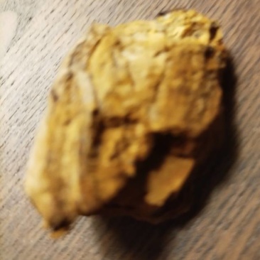 天然桑黄菌菇，野生无污染，营养丰富，健康养生**！
