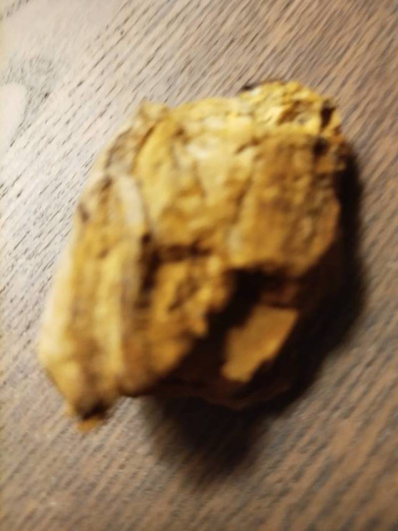 天然桑黄菌菇，野生无污染，营养丰富，健康养生**！