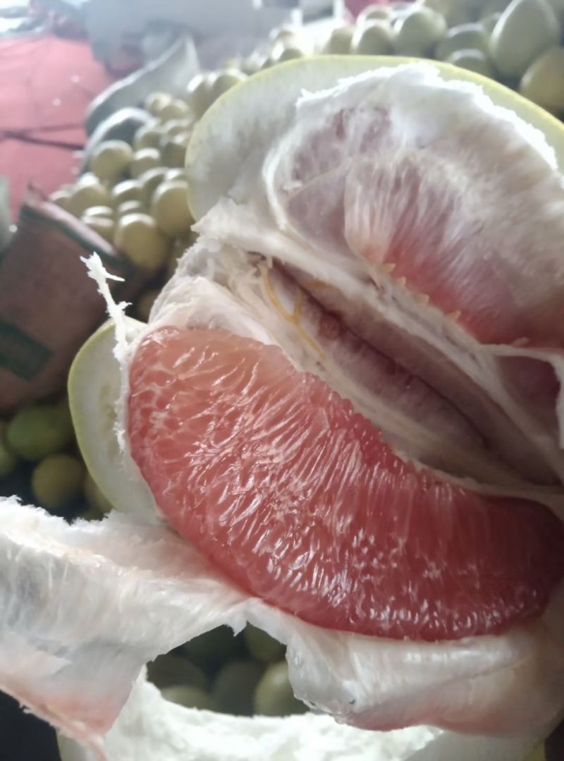 库存精品红柚，市场外贸