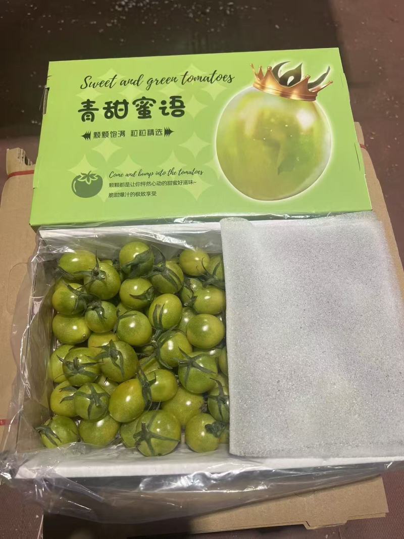 山东唐柏虎圣女果清甜可口价格美丽新鲜上市价格美丽热卖