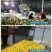 山楂烘干机山楂干烘干机大型山楂清洗切片烘干机山楂烘烤机