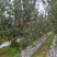 石家庄种植基地，红富士苹果，纸加膜，膜袋苹果