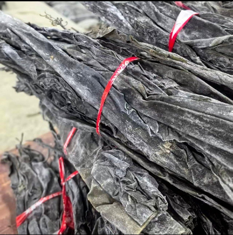【推荐】福建海带霞浦海带。产地直发保质保量电商团购批
