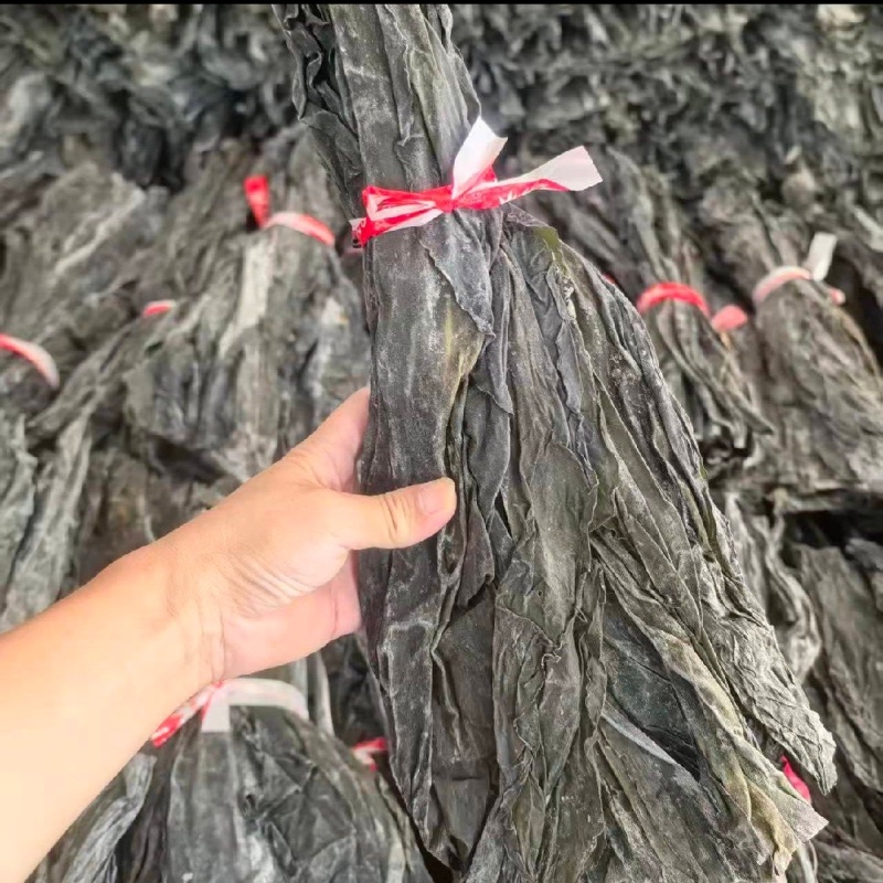 【推荐】福建海带霞浦海带。产地直发保质保量电商团购批